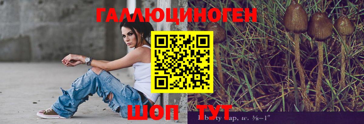 Новодвинск  Галлюциногенные грибы мухоморы  даркнет сайт  Вход с VPN 